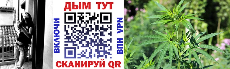 Бошки Шишки планчик  где можно купить наркотик  Новотроицк 